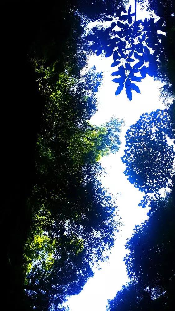 逃出重围第一章